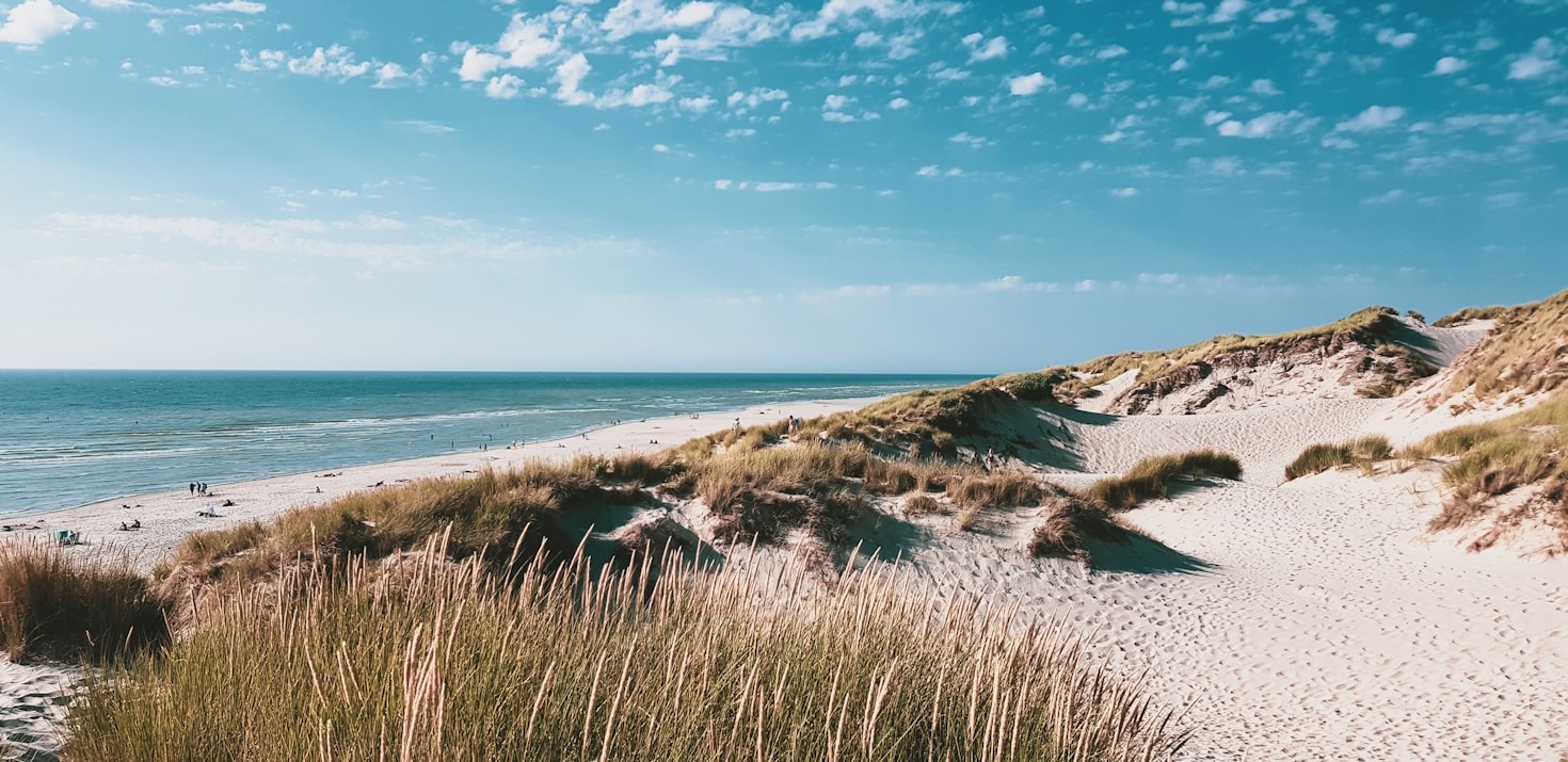 Upcoming Events for Seaside Residents to Enjoy